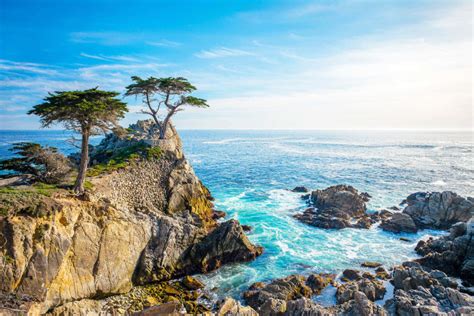 holistic rehab laguna niguel.